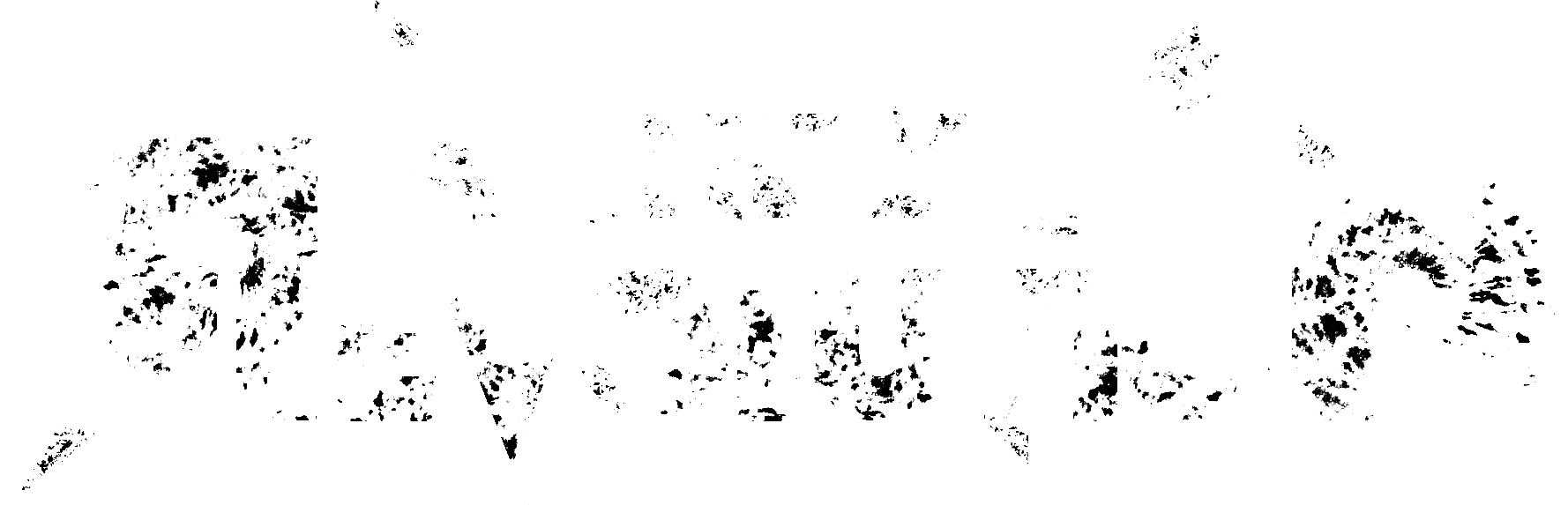 New Revolution Logo